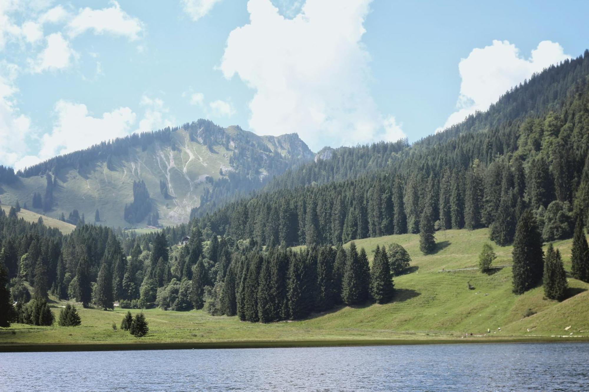 Ferienwohnung "Seeruhe" - Berge, See Und Natur Am Spitzingsee Шлірзе Екстер'єр фото